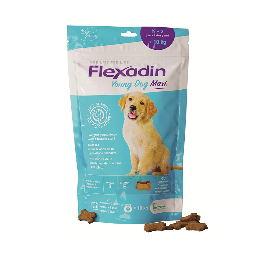 Vetoquinol Flexadin Young Maxi Condroprotector para cachorros